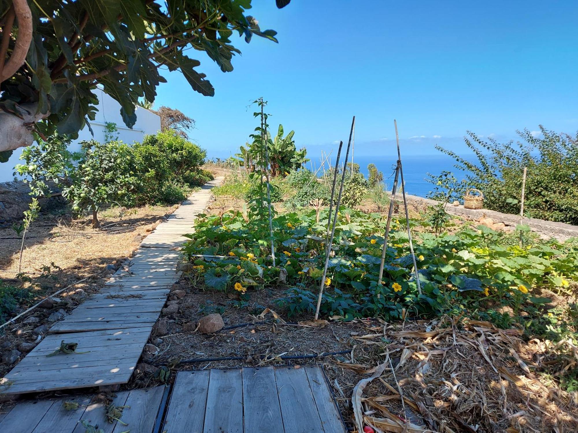 Casas En Finca Ecologica La Espiral, Naturaleza, Calma Y Vistas Al Mar, Икод-эль-Альто Номер фото