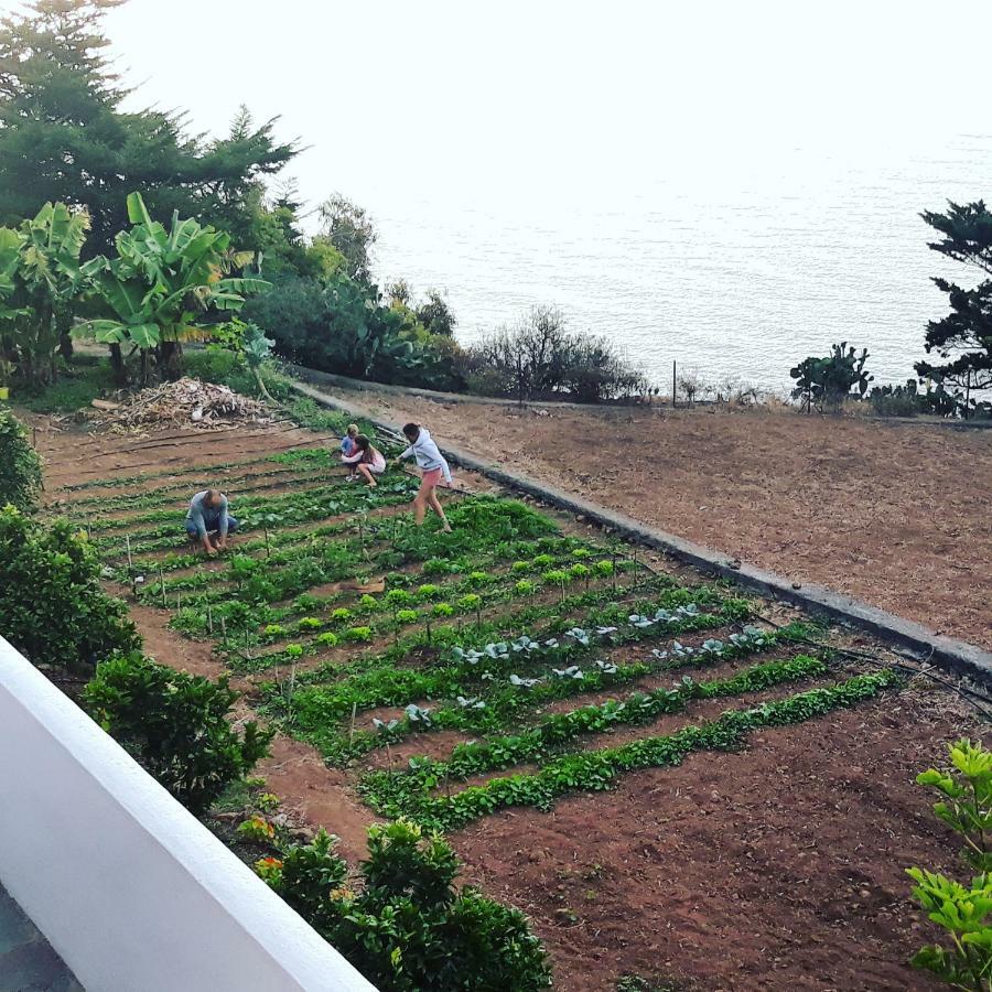 Casas En Finca Ecologica La Espiral, Naturaleza, Calma Y Vistas Al Mar, Икод-эль-Альто Экстерьер фото