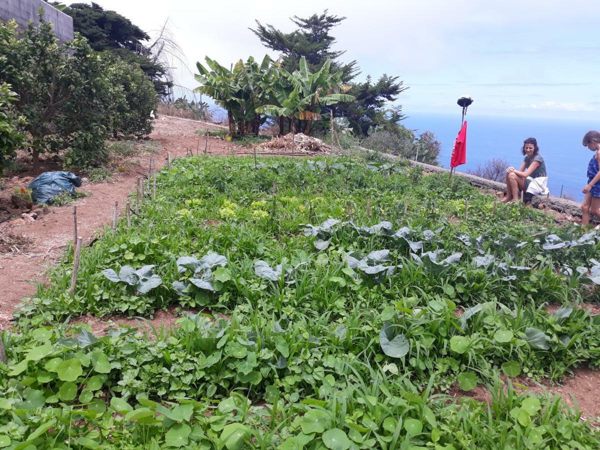 Casas En Finca Ecologica La Espiral, Naturaleza, Calma Y Vistas Al Mar, Икод-эль-Альто Экстерьер фото